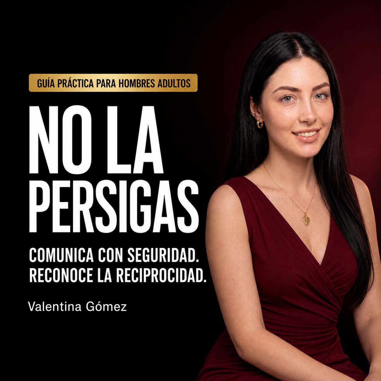 Portada del ebook NO LA PERSIGAS de Valentina Gómez